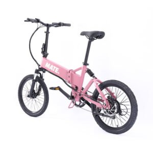 mate | electric bike | icon