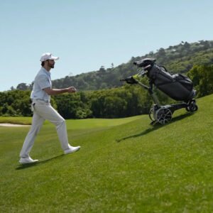 navee | electric golf buggy | birdie