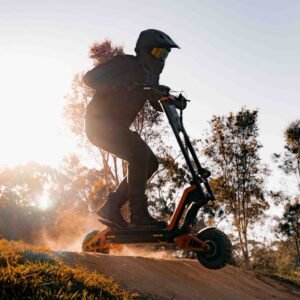 inmotion | electric scooter | rs lite (off road tyre)