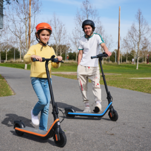 c2 segway ninebot electric kickscooter