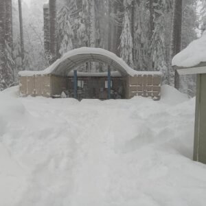 shipping container canopy roof shelter