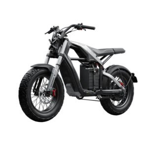 segway ninebot ebike xyber