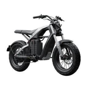 segway ninebot ebike xyber