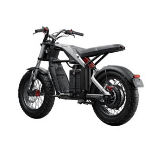 segway ninebot ebike xyber