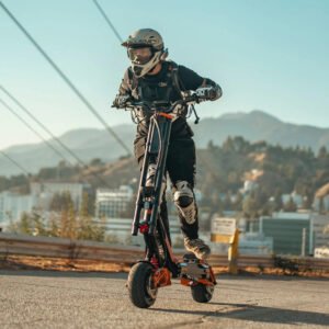inmotion | electric scooter | rs lite (street tyre)